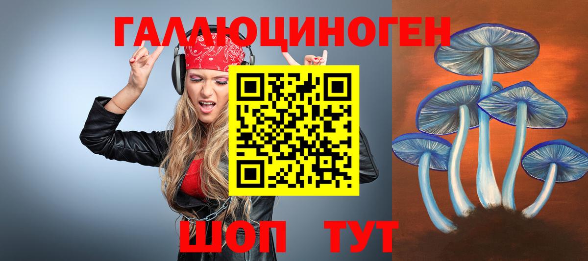 Котлас  Псилоцибиновые грибы GOLDEN TEACHER  Вход с VPN  Псилоцибиновые грибы Psilocybe 